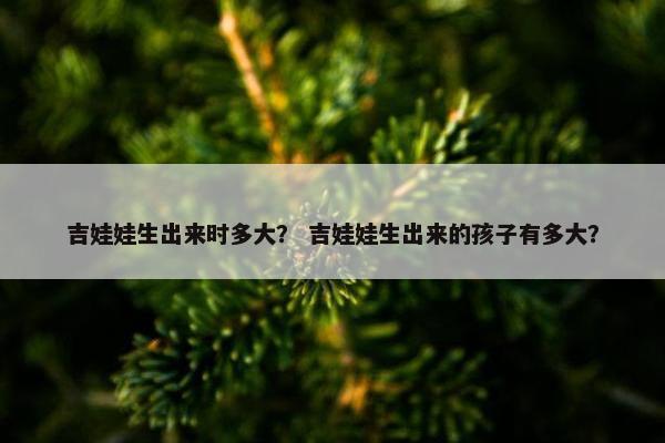 吉娃娃生出来时多大？ 吉娃娃生出来的孩子有多大？