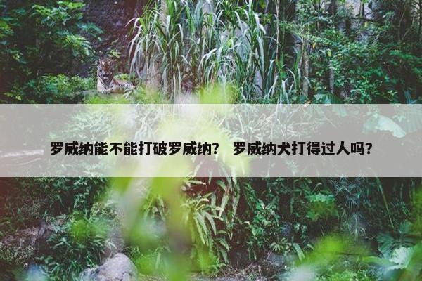 罗威纳能不能打破罗威纳？ 罗威纳犬打得过人吗？