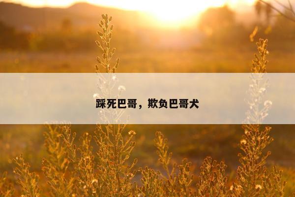 踩死巴哥，欺负巴哥犬