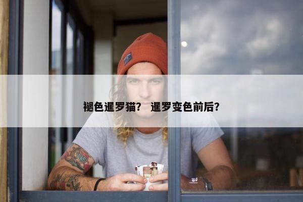 褪色暹罗猫？ 暹罗变色前后？
