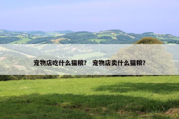宠物店吃什么猫粮？ 宠物店卖什么猫粮？