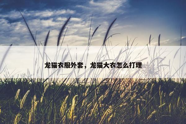 龙猫衣服外套，龙猫大衣怎么打理