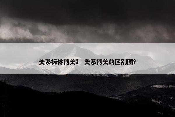 美系标体博美？ 美系博美的区别图？