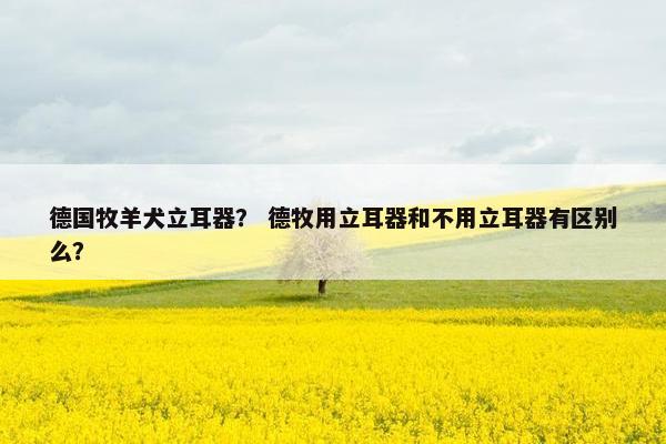 德国牧羊犬立耳器？ 德牧用立耳器和不用立耳器有区别么？