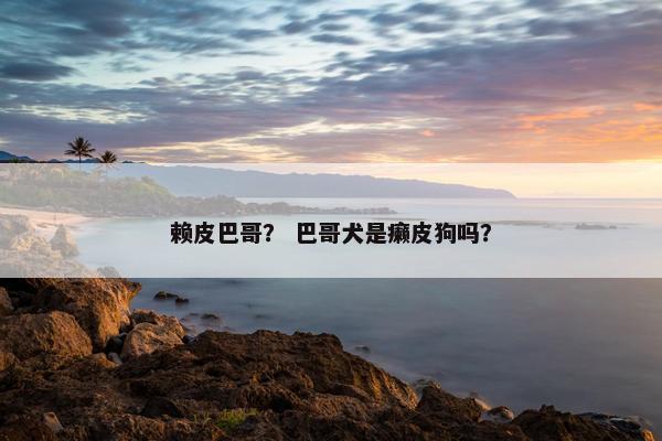 赖皮巴哥？ 巴哥犬是癞皮狗吗？