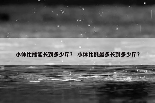 小体比熊能长到多少斤？ 小体比熊最多长到多少斤？