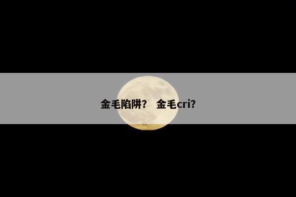 金毛陷阱? 金毛cri? 金毛陷阱? 金毛cri?