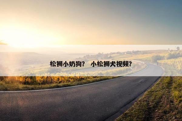 松狮小奶狗? 小松狮犬视频? 松狮小奶狗? 小松狮犬视频?
