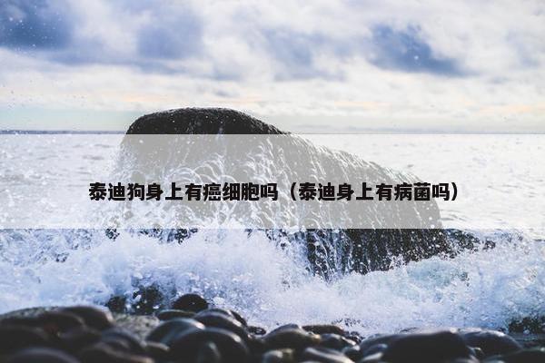 泰迪狗身上有癌细胞吗(泰迪身上有病菌吗) 泰迪狗身上有癌细胞吗(泰迪身上有病菌吗)