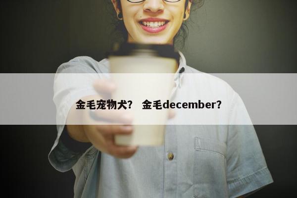 金毛宠物犬？ 金毛december？