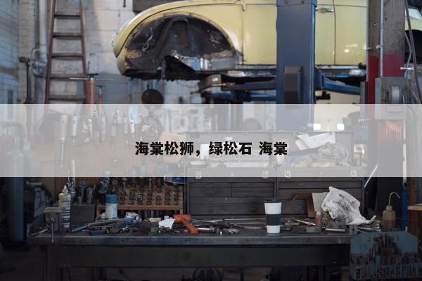 海棠松狮，绿松石 海棠