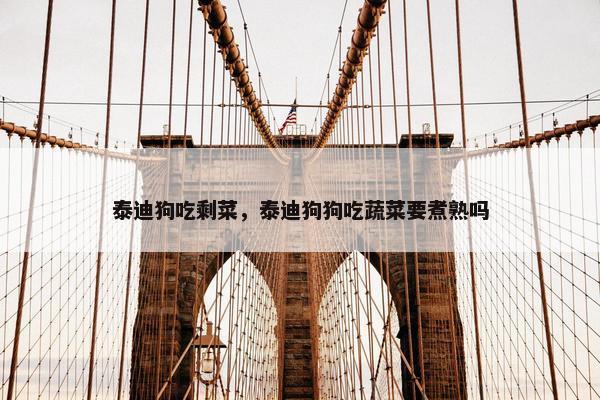 泰迪狗吃剩菜，泰迪狗狗吃蔬菜要煮熟吗