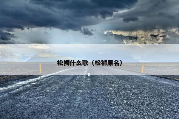 松狮什么歌（松狮原名）