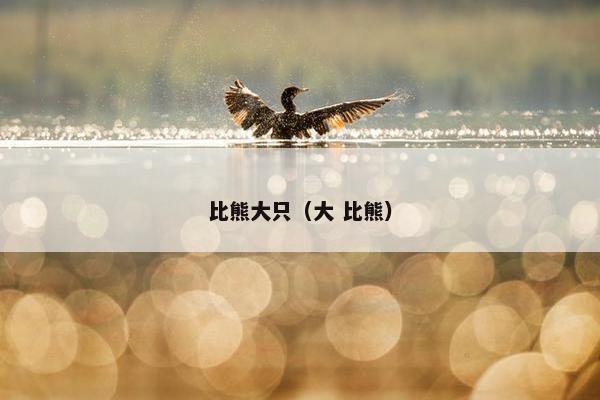 比熊大只（大 比熊）