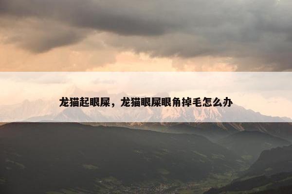 龙猫起眼屎，龙猫眼屎眼角掉毛怎么办