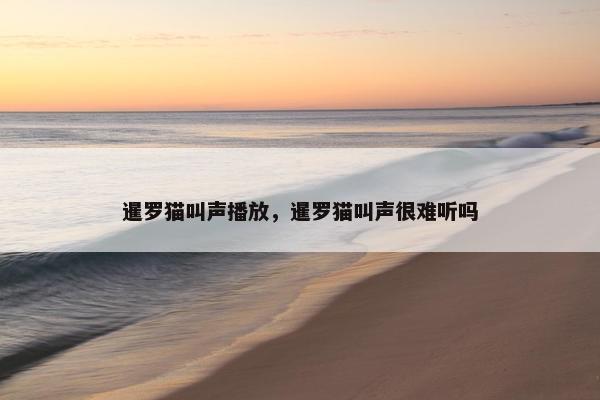 暹罗猫叫声播放，暹罗猫叫声很难听吗