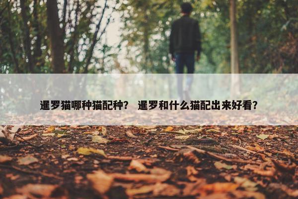 暹罗猫哪种猫配种？ 暹罗和什么猫配出来好看？