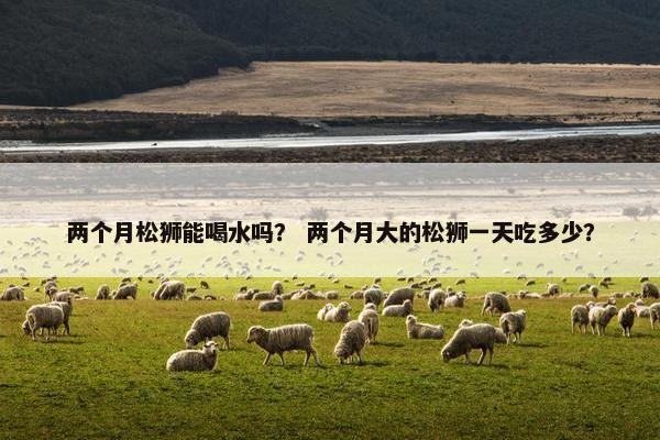 两个月松狮能喝水吗？ 两个月大的松狮一天吃多少？
