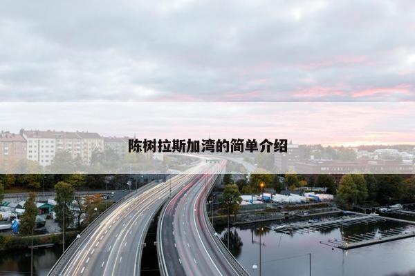 陈树拉斯加湾的简单介绍