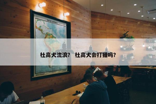 杜高犬流浪？ 杜高犬会打猎吗？