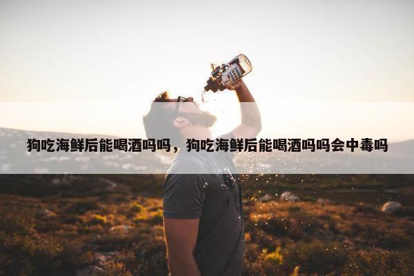 狗吃海鲜后能喝酒吗吗，狗吃海鲜后能喝酒吗吗会中毒吗