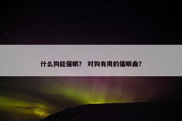 什么狗能催眠？ 对狗有用的催眠曲？