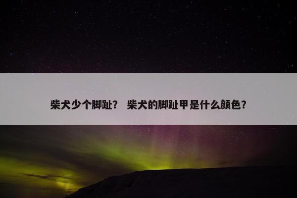 柴犬少个脚趾？ 柴犬的脚趾甲是什么颜色？