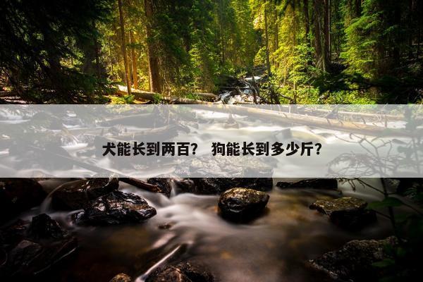 犬能长到两百？ 狗能长到多少斤？