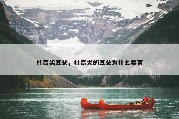 杜高尖耳朵，杜高犬的耳朵为什么要剪