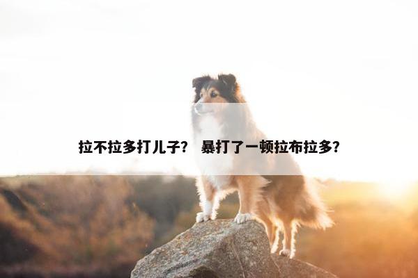 拉不拉多打儿子？ 暴打了一顿拉布拉多？