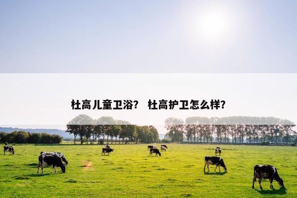 杜高儿童卫浴？ 杜高护卫怎么样？