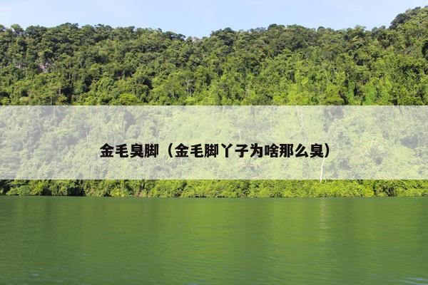 金毛臭脚（金毛脚丫子为啥那么臭）