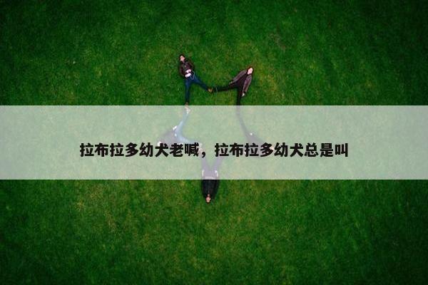 拉布拉多幼犬老喊，拉布拉多幼犬总是叫