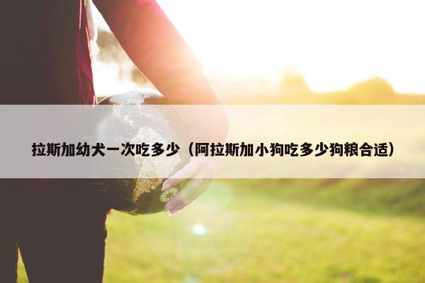 拉斯加幼犬一次吃多少（阿拉斯加小狗吃多少狗粮合适）