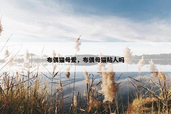 布偶猫母爱，布偶母猫粘人吗