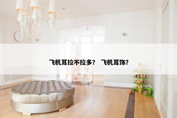 飞机耳拉不拉多？ 飞机耳饰？