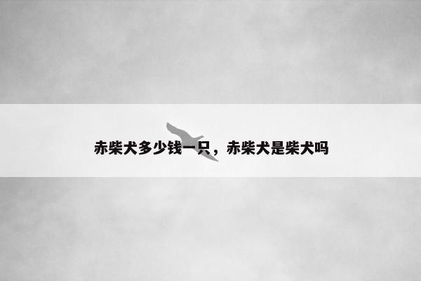 赤柴犬多少钱一只，赤柴犬是柴犬吗
