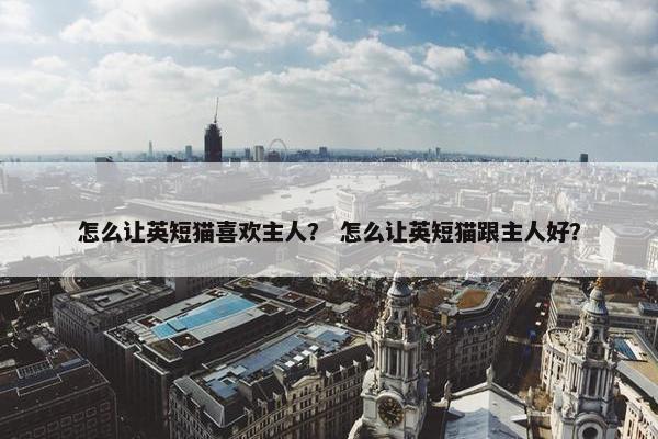 怎么让英短猫喜欢主人？ 怎么让英短猫跟主人好？