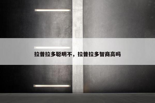 拉普拉多聪明不，拉普拉多智商高吗