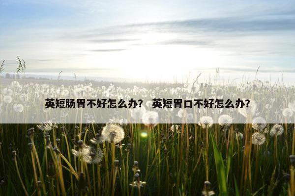 英短肠胃不好怎么办？ 英短胃口不好怎么办？