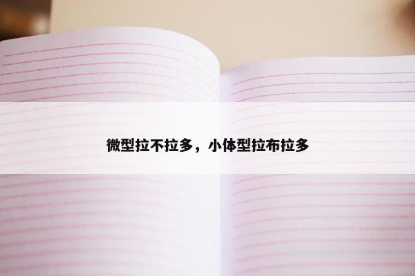 微型拉不拉多，小体型拉布拉多