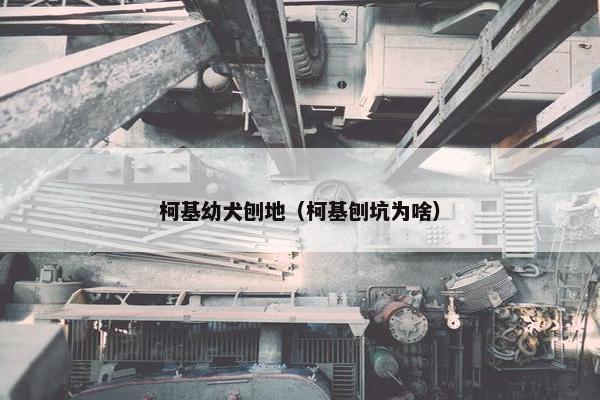 柯基幼犬刨地（柯基刨坑为啥）