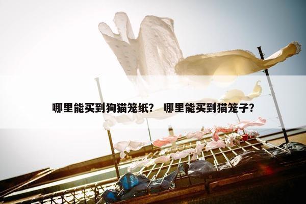 哪里能买到狗猫笼纸？ 哪里能买到猫笼子？