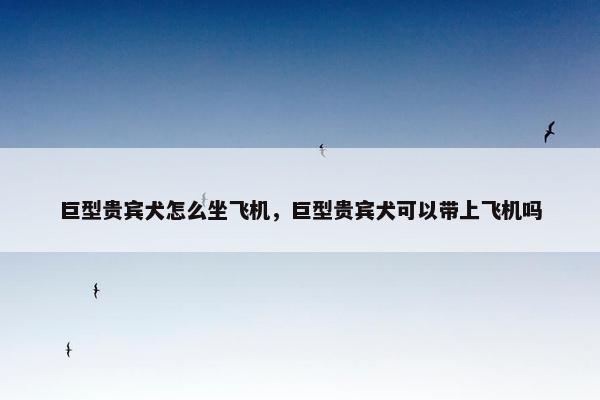 巨型贵宾犬怎么坐飞机，巨型贵宾犬可以带上飞机吗