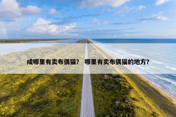 成哪里有卖布偶猫？ 哪里有卖布偶猫的地方？