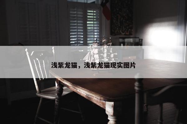 浅紫龙猫，浅紫龙猫现实图片