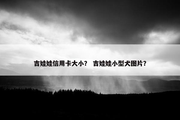 吉娃娃信用卡大小？ 吉娃娃小型犬图片？