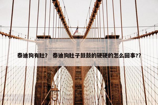 泰迪狗有肚？ 泰迪狗肚子鼓鼓的硬硬的怎么回事?？