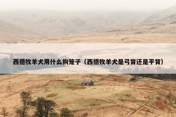 西德牧羊犬用什么狗笼子（西德牧羊犬是弓背还是平背）