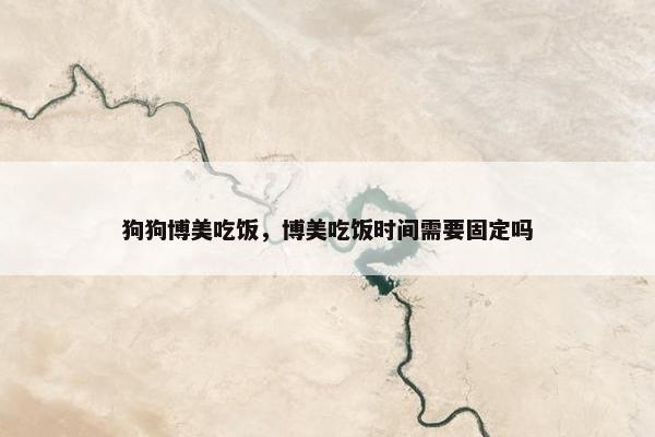 狗狗博美吃饭，博美吃饭时间需要固定吗